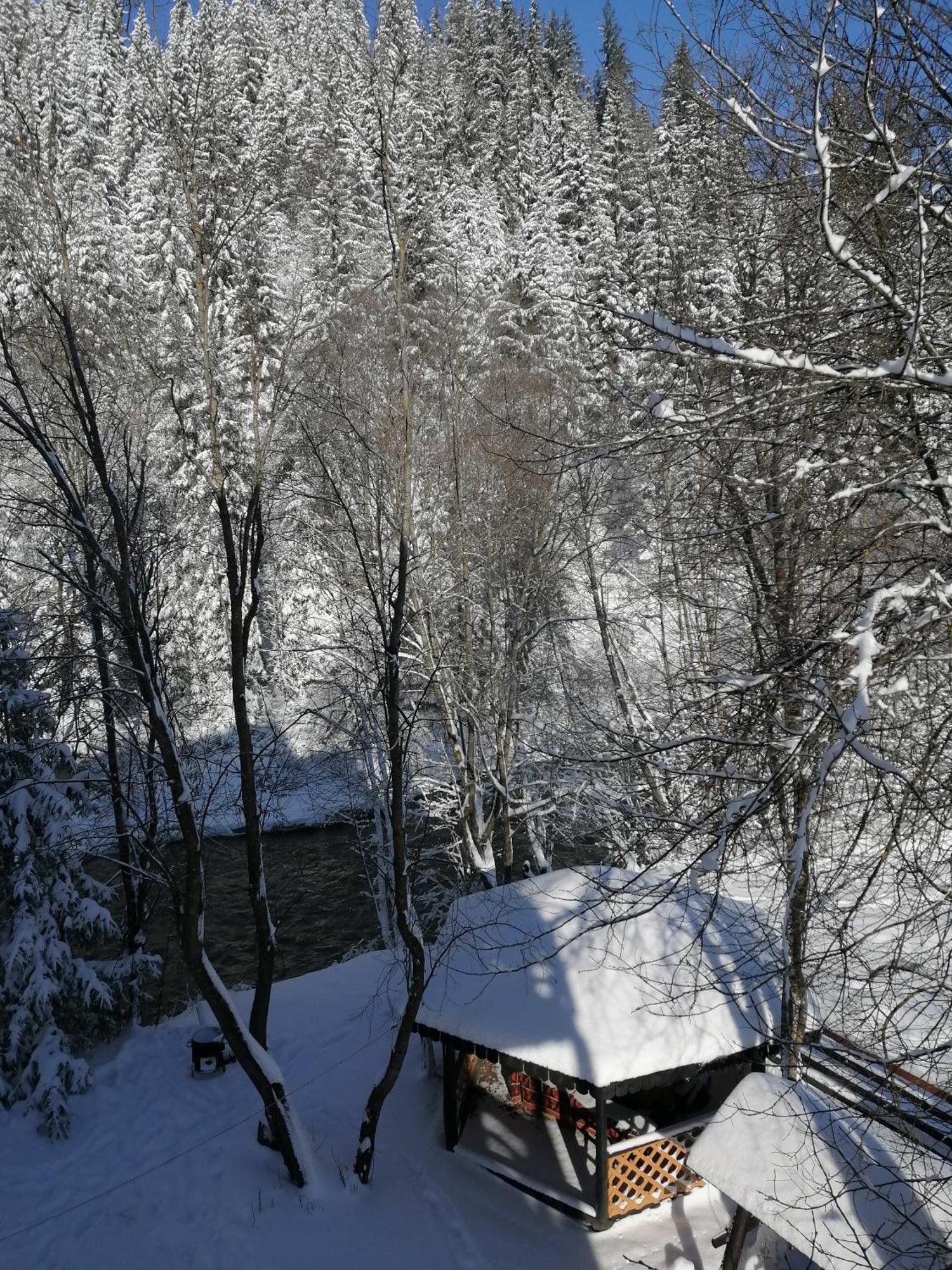 Pensiunea Tora Vatra Dornei Buitenkant foto
