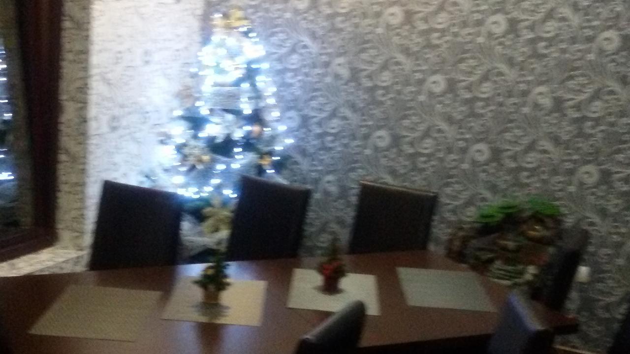Pensiunea Tora Vatra Dornei Buitenkant foto